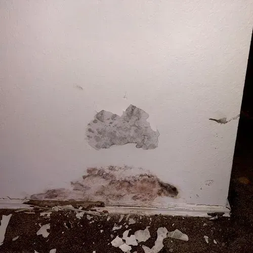 White wall with peeling paint and discoloration, possibly from water damage, near floor.