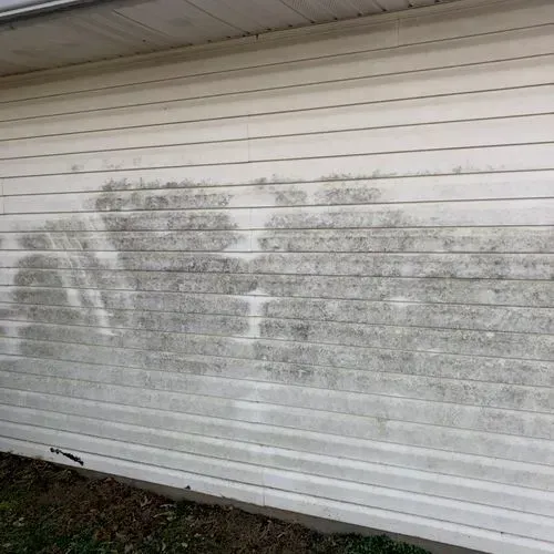Exterior house siding with dark discoloration from mold or mildew.