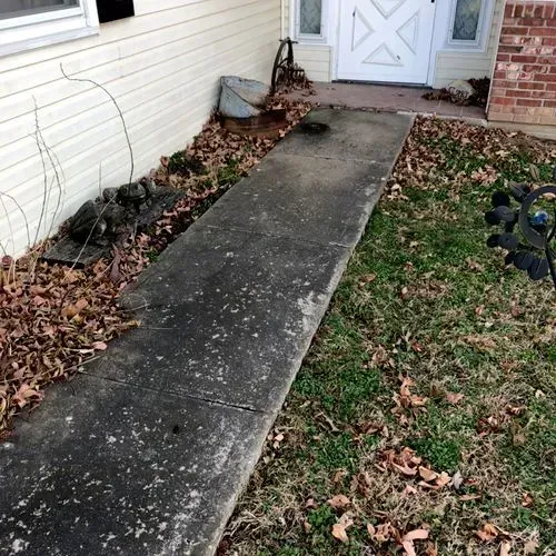 Concrete walkway leading to a white front door, surrounded by dead leaves and grass.
