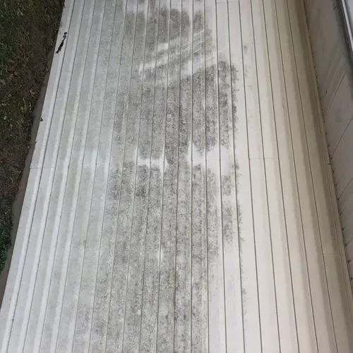 Corrugated metal roof covered in patches of gray algae.