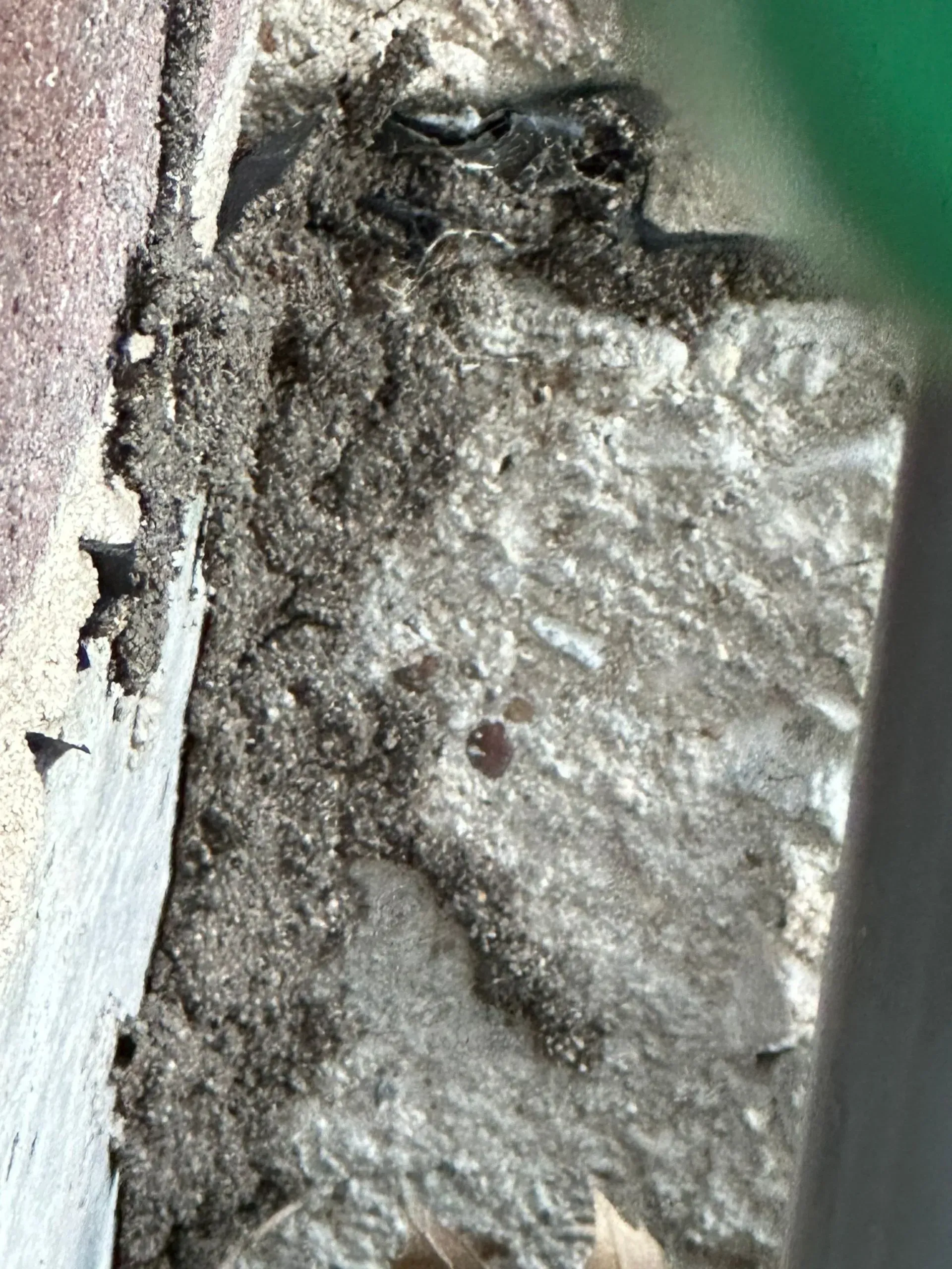 Dark, granular substance accumulated at the base of a brick wall on a concrete surface.