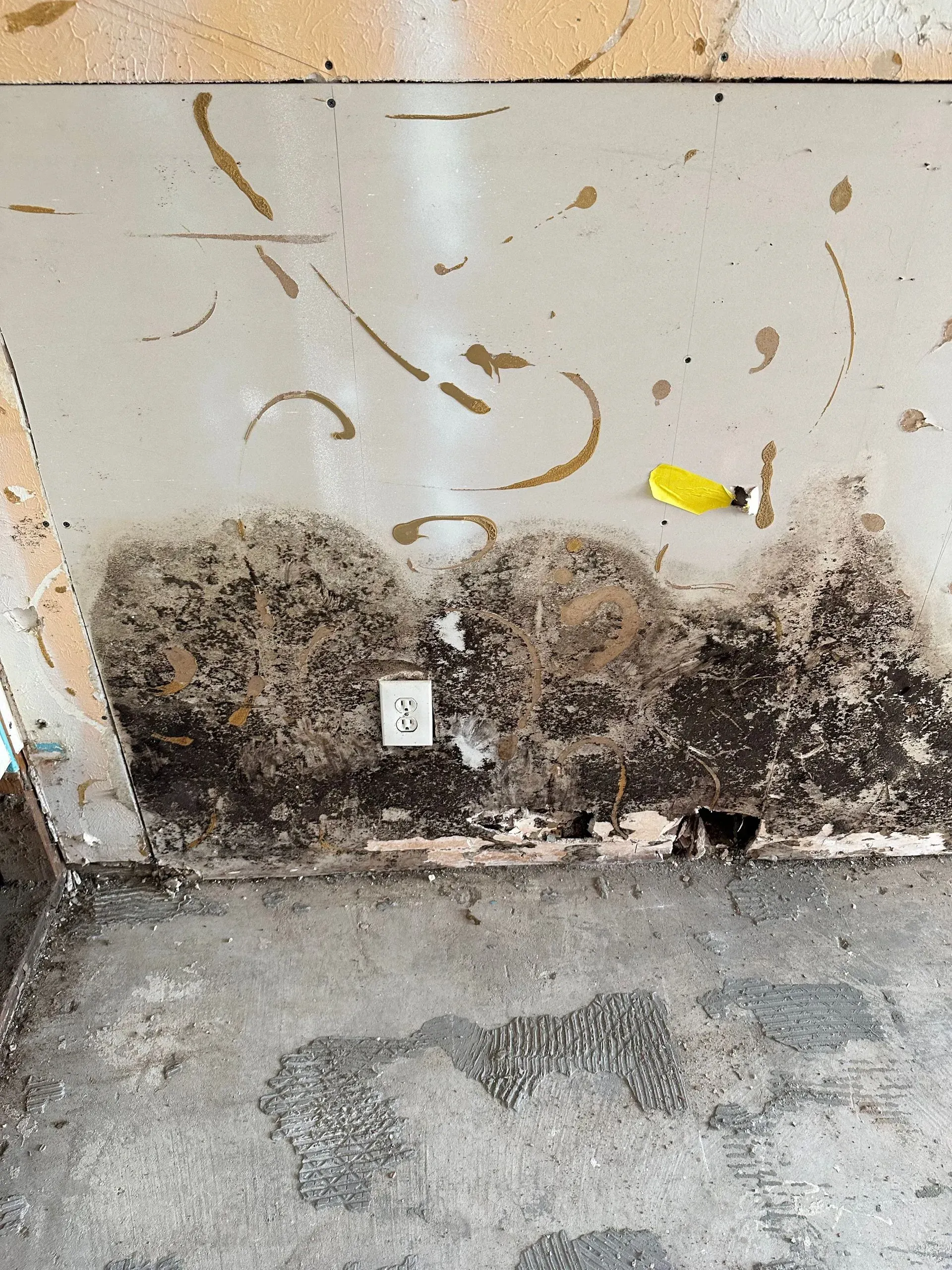 Moldy wall with electrical outlet, stained and damaged. Yellow screwdriver lies on the wall. Concrete floor.