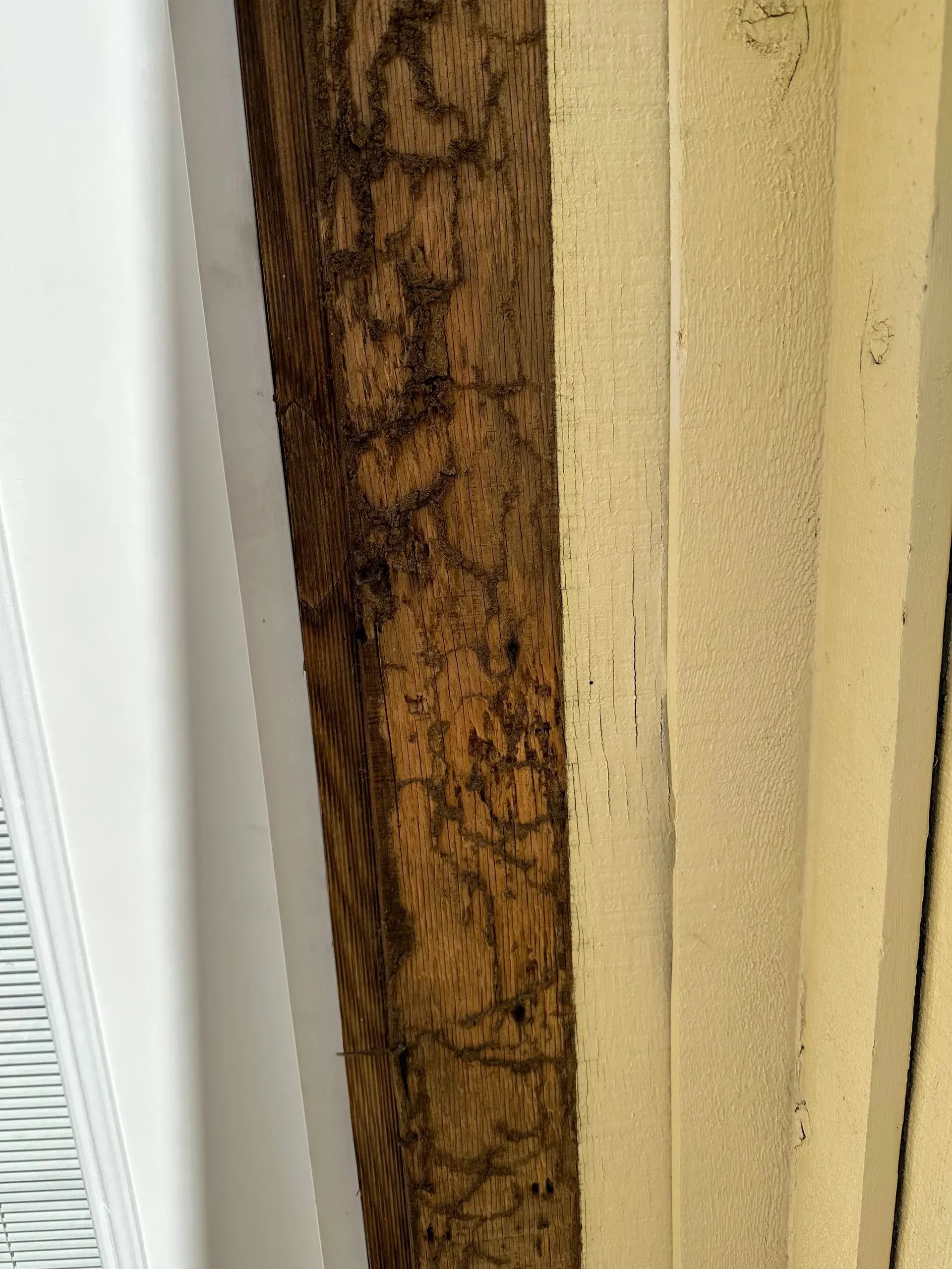 Close-up of wooden beams: dark brown textured wood next to lighter, pale wood.