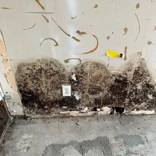 Wall with extensive mold and water damage. Torn wallpaper, electrical outlet, and debris on the floor.