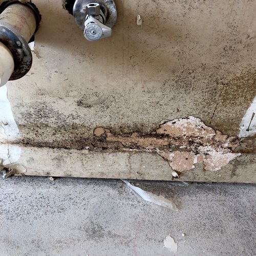 Damaged wall under a faucet, showing peeling paint and possible mold growth.