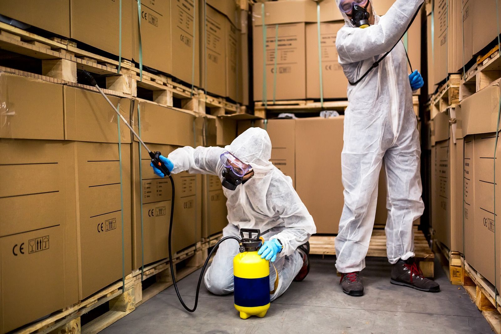 Two workers in protective suits spray insecticide in a warehouse filled with boxes.