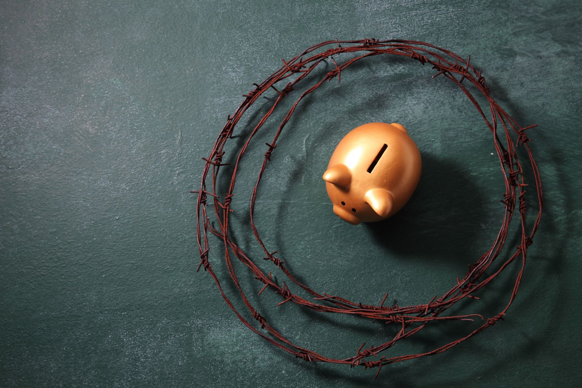 A piggy bank surrounded by barbed wire. Safety, security concept.