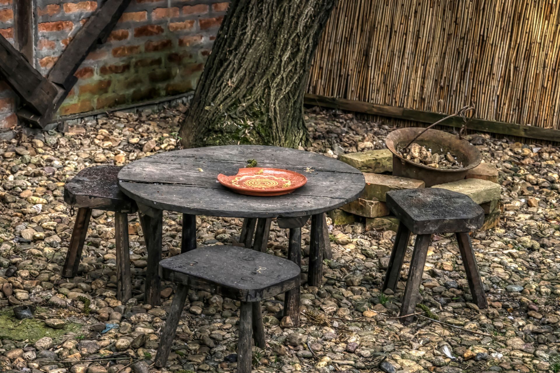 Three wooden chairs around a wooden table with a tree