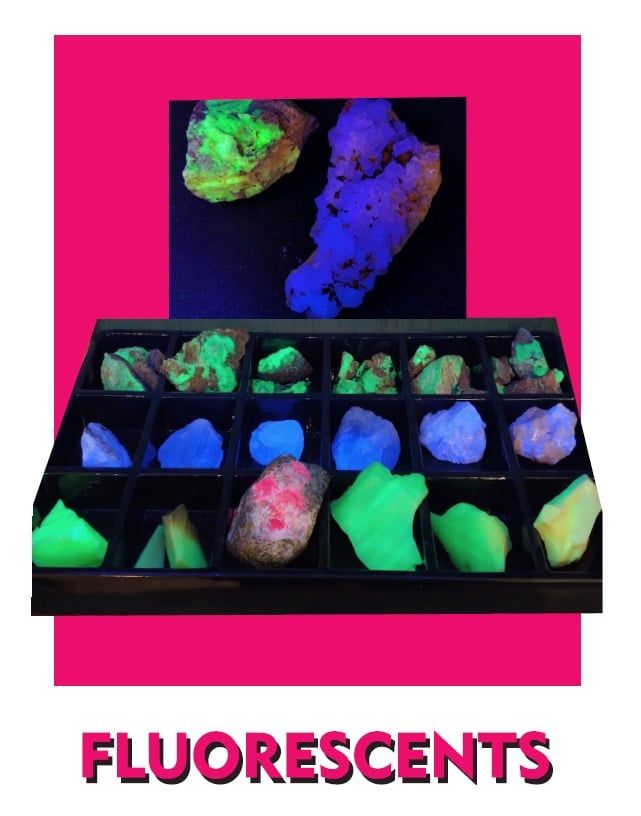 Earth Museum Scotland Neck, NC