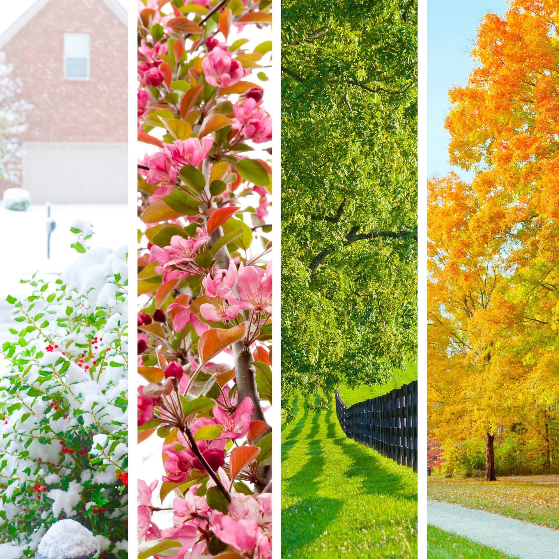 A collage of four pictures showing different seasons