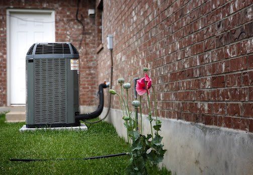 An air conditioner is sitting on the side of a brick building next to a flower.