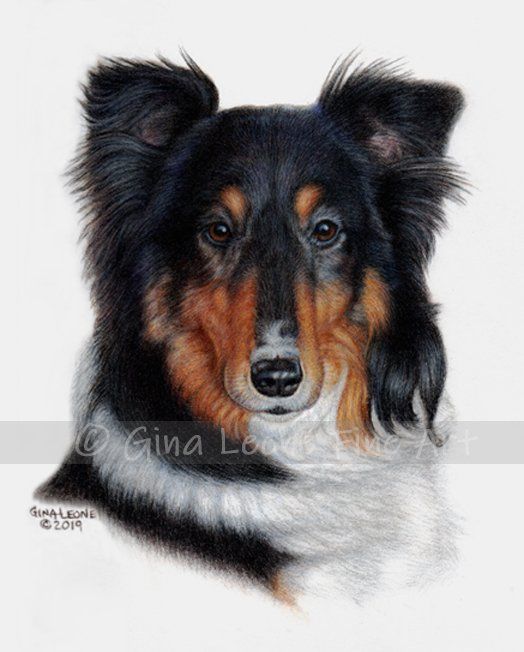 dog art by Gina Leone Fine Art