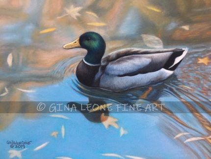 Mallard Duck in water art by Gina Leone Fine Art