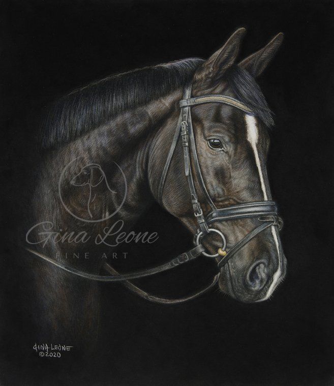 horse art by Gina Leone Fine Art
