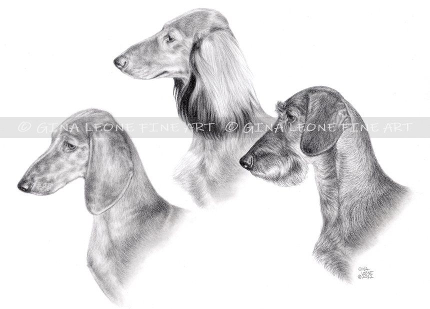 dog art by Gina Leone Fine Art