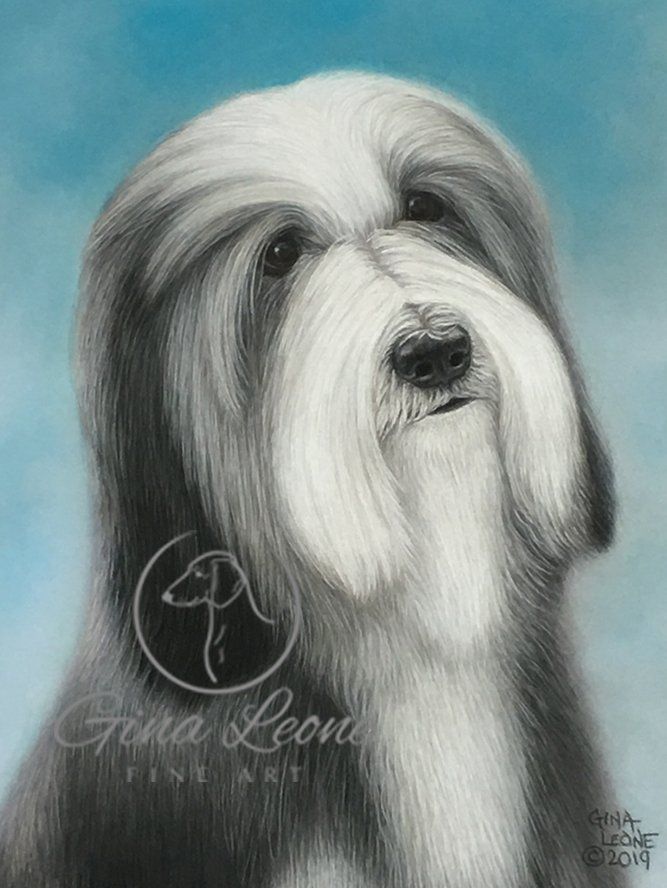 dog art by Gina Leone Fine Art