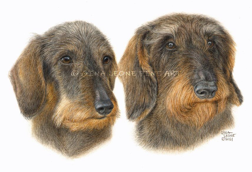 dog art by Gina Leone Fine Art