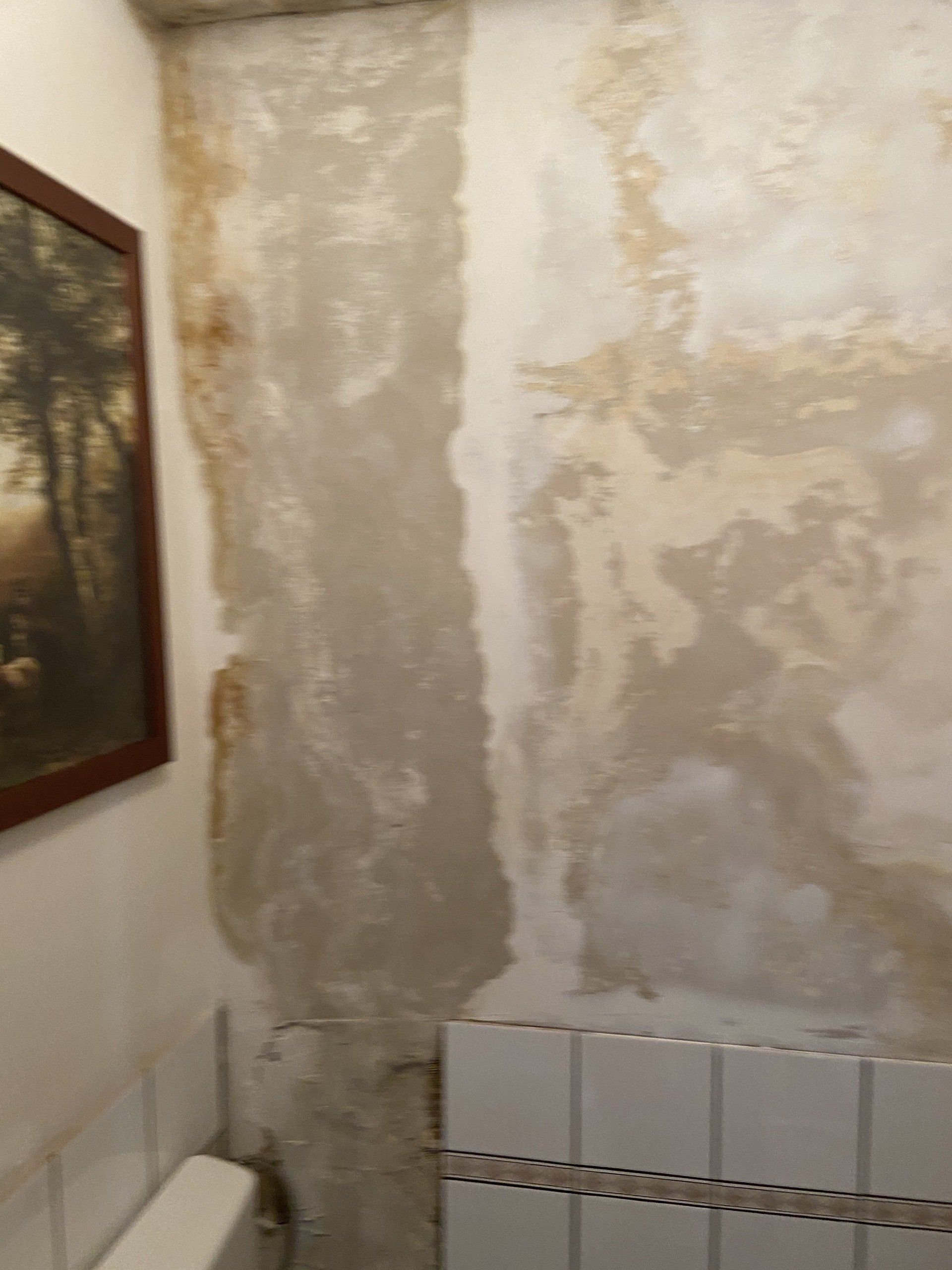 Lekkages den haag oplossen