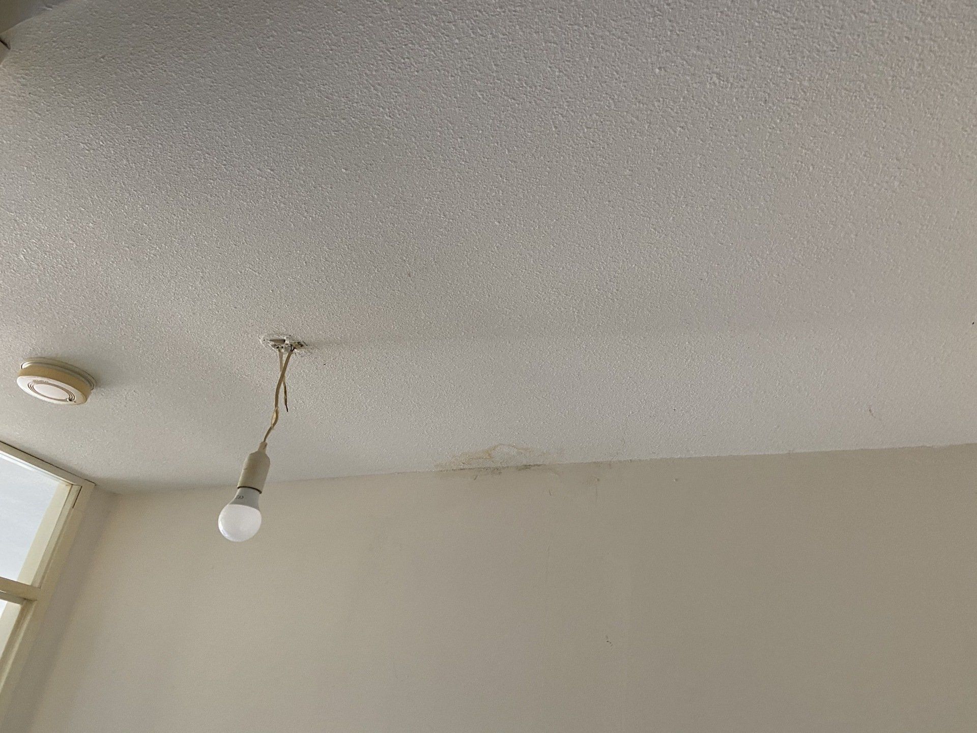 Lekkages den haag oplossen