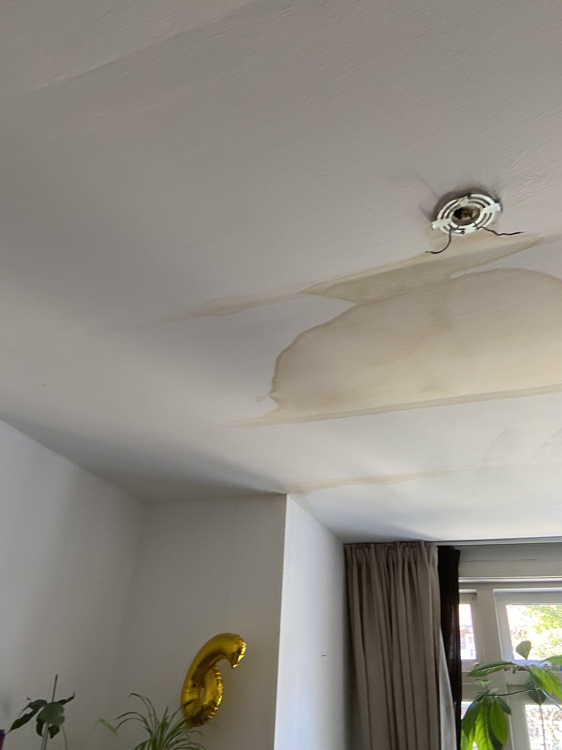 Lekkages den haag oplossen