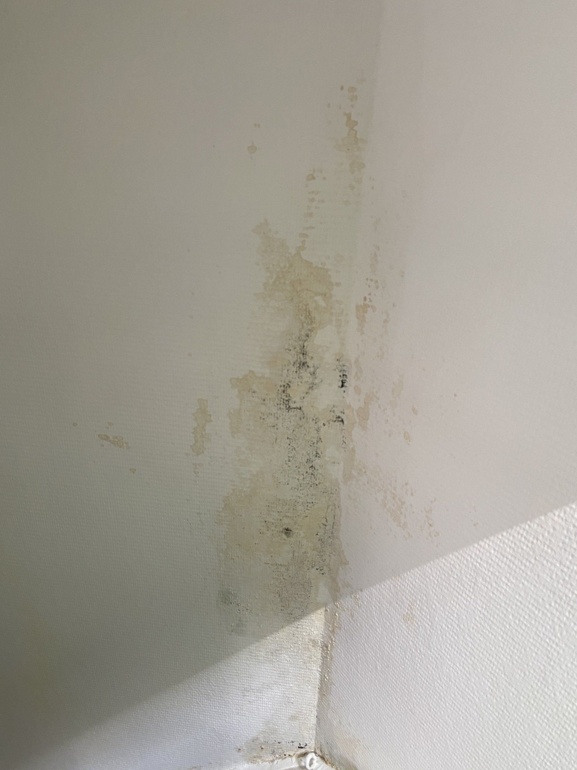 Lekkages den haag oplossen