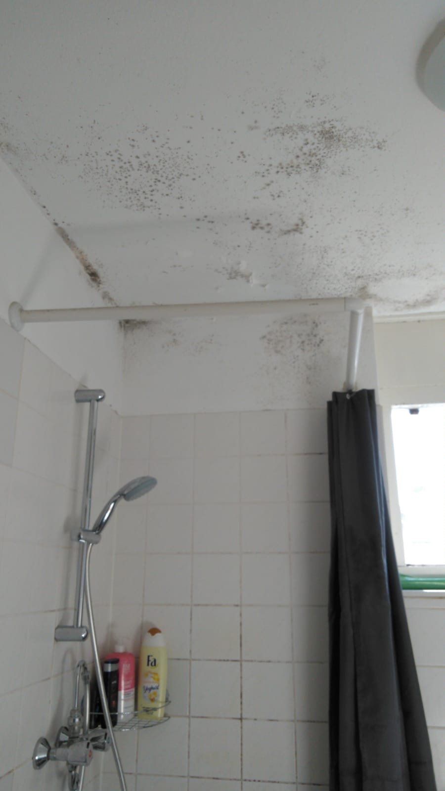 Lekkages den haag oplossen