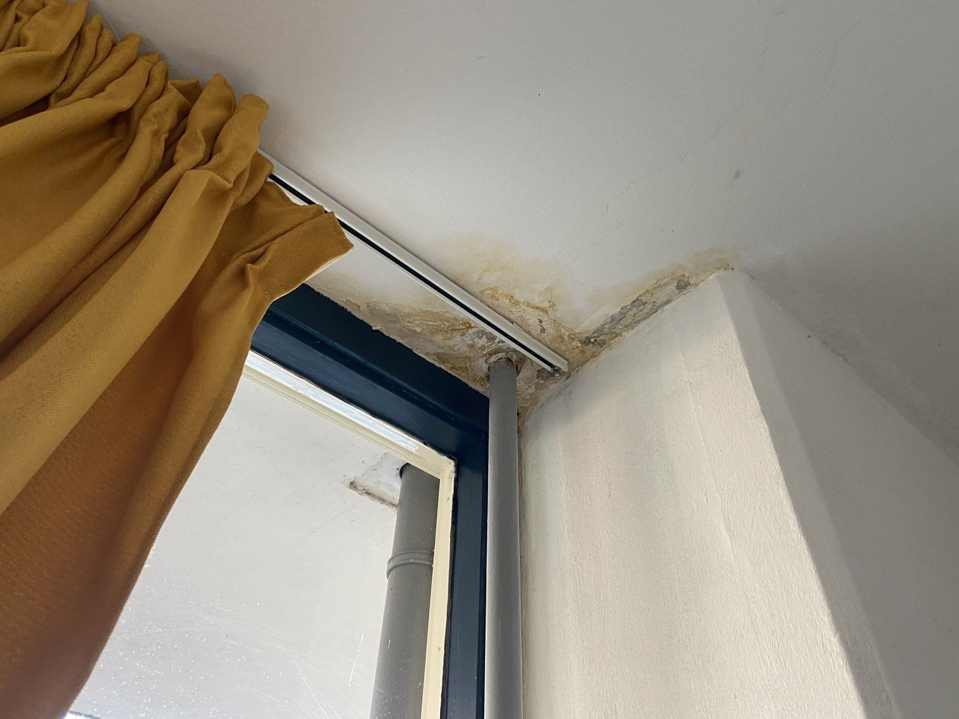 Lekkages den haag oplossen