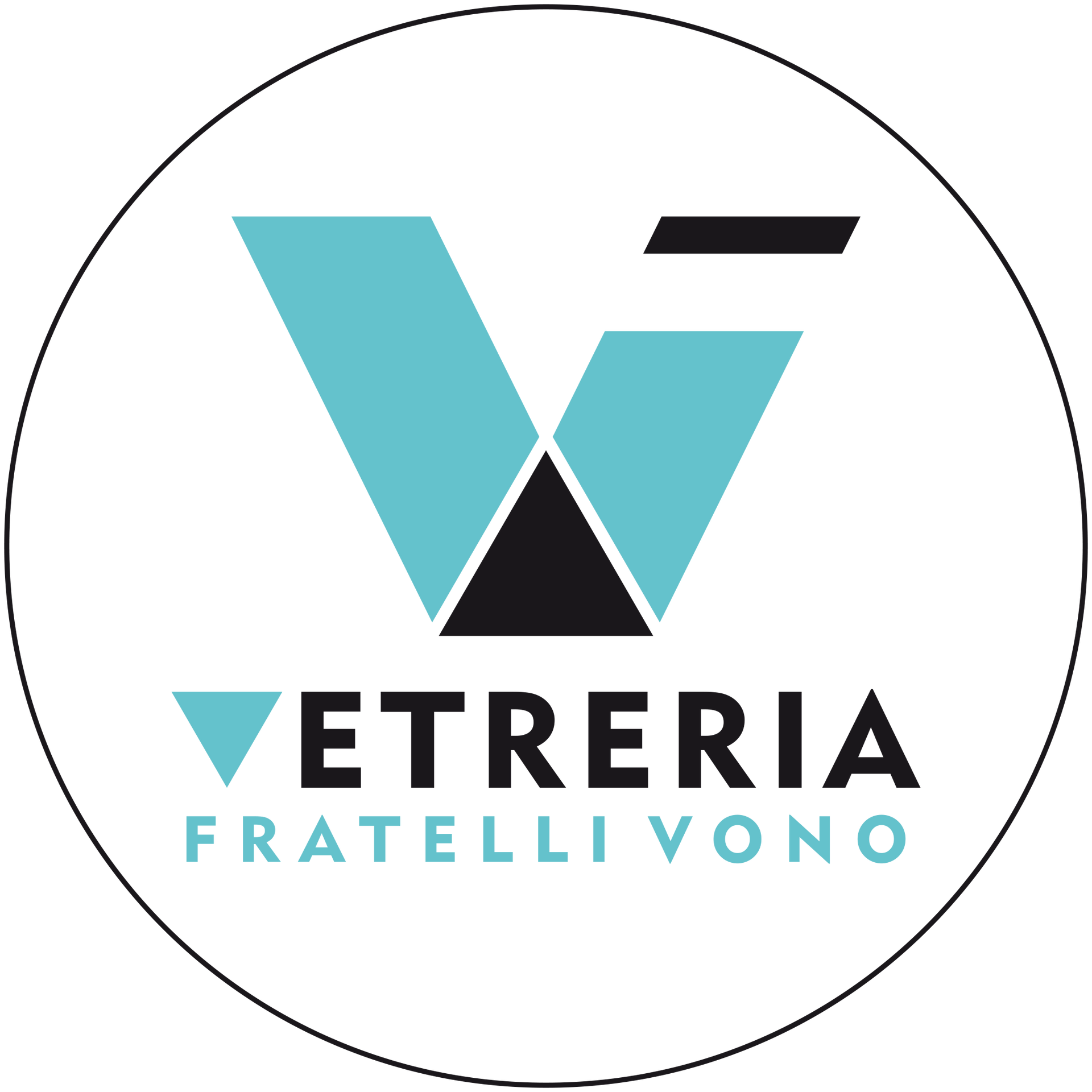 Logo per Vetreia Fratelli Vono, caratterizzato da una V blu e nera all'interno di un cerchio bianco.