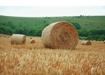 agricultural services - Mid Glamorgan - P Edwards & Co - harvesting agriculture bale field wheat crop