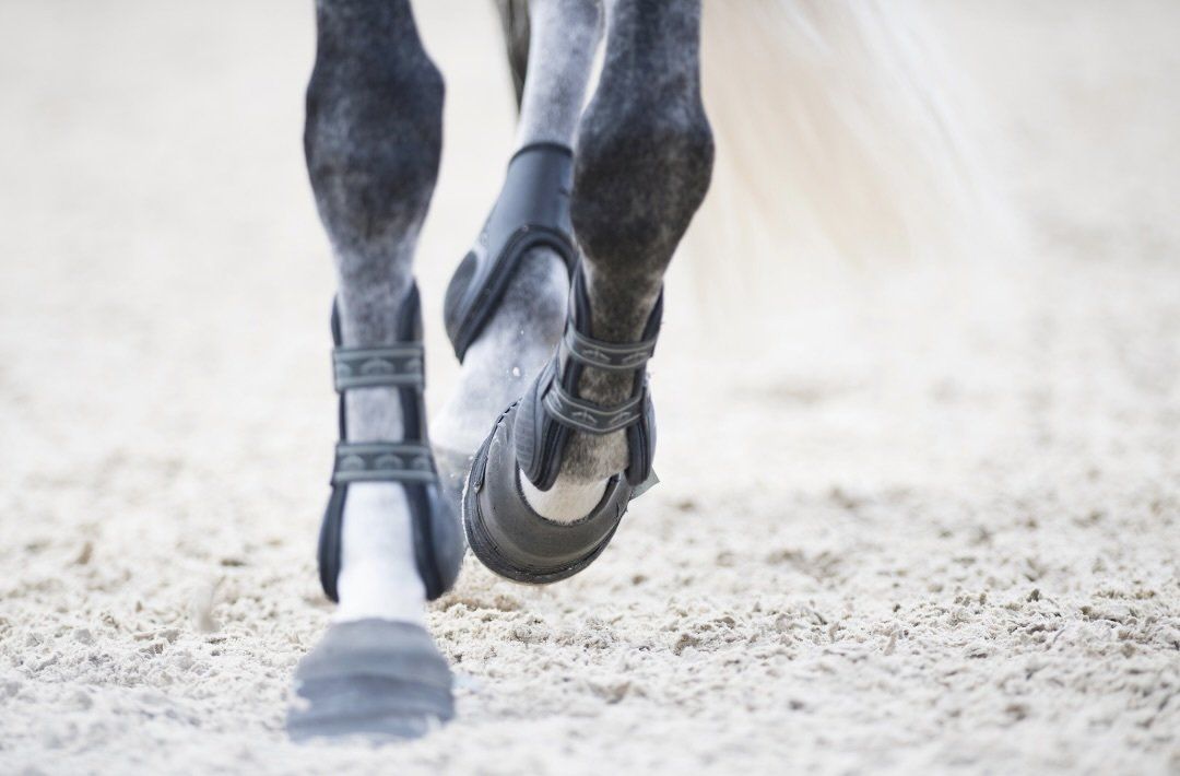 Reduced exercise tolerance/performance is one of the symptoms of copd in horses