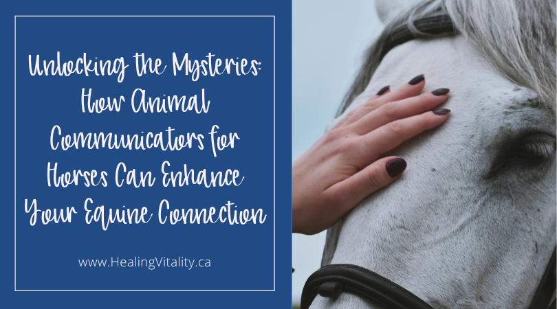 How Animal Communicators for Horses Can Enhance Your Equine Connection