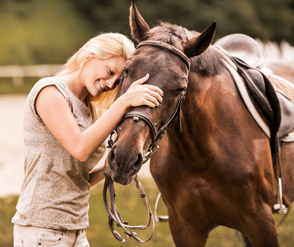 animal communicators can help horse owners address behavioral and health issues