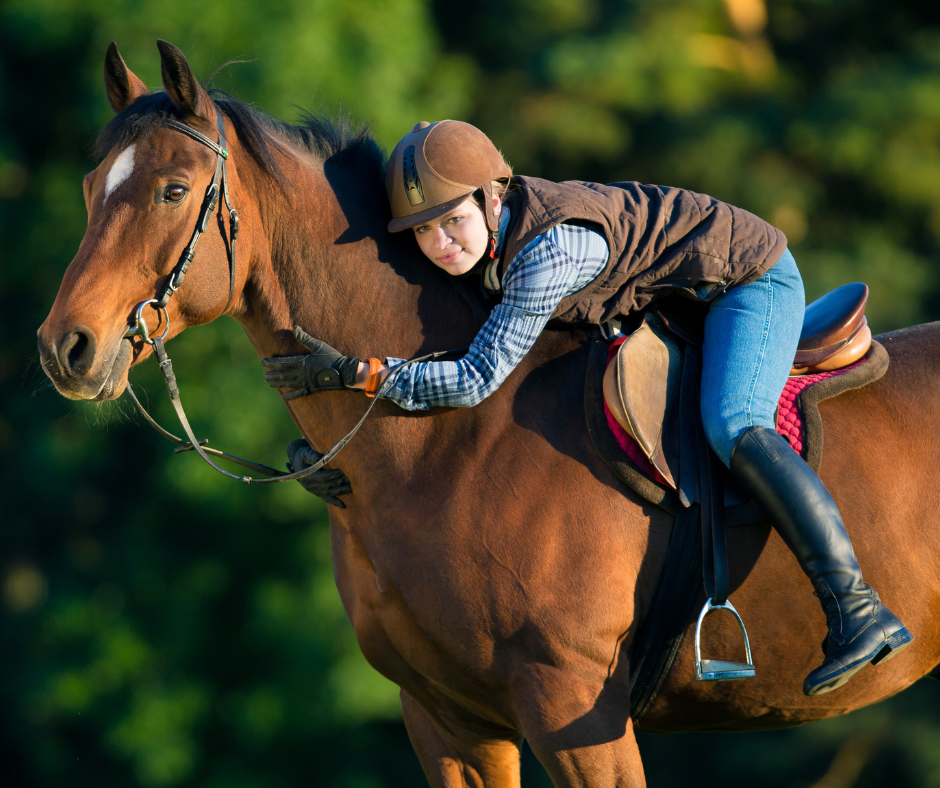 Are you having trouble figuring out what's going on with your horse?
