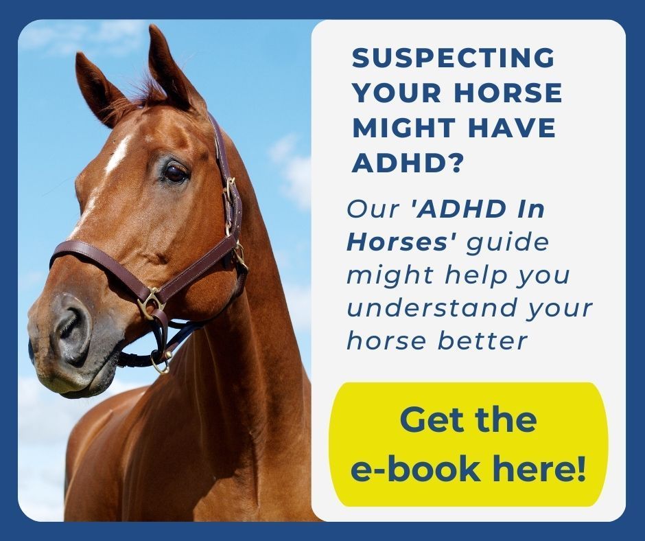 Adhd in horses guide