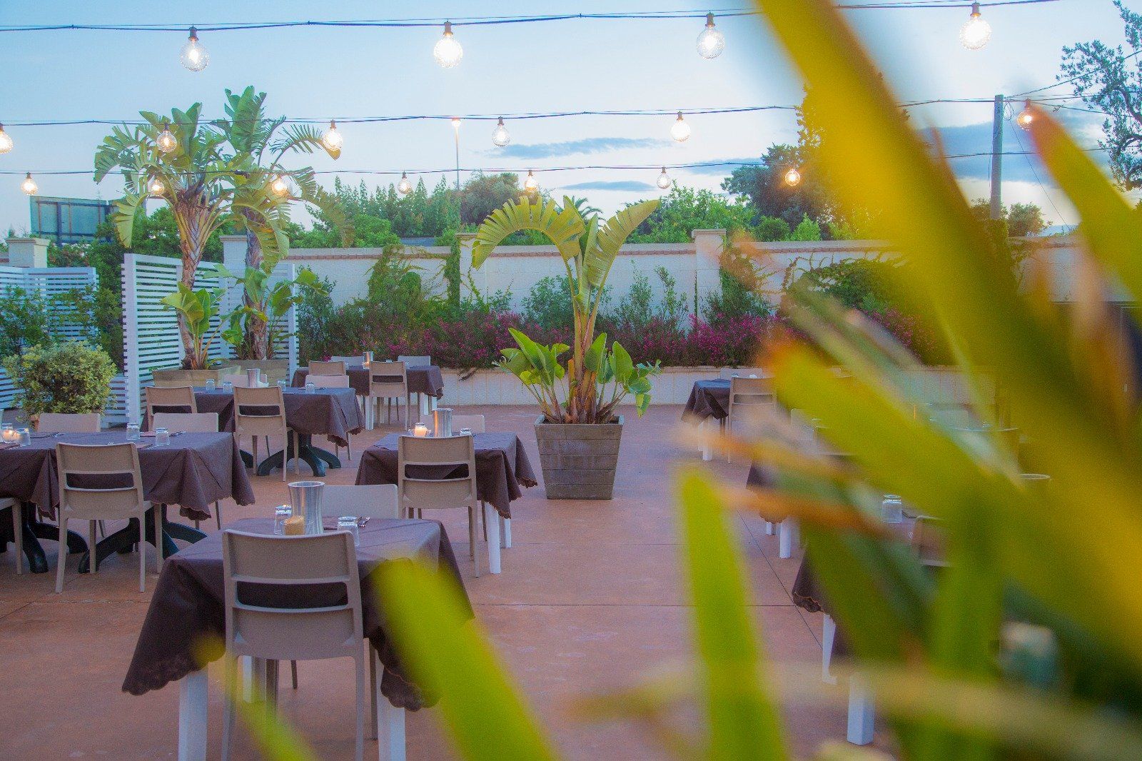 coperti di ristorante 7