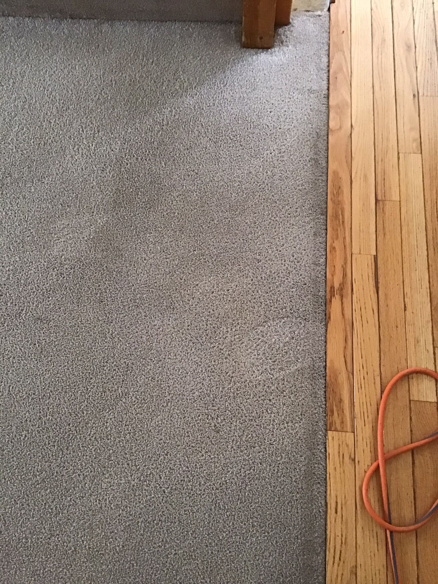 A close up of a carpeted floor next to a wooden floor.