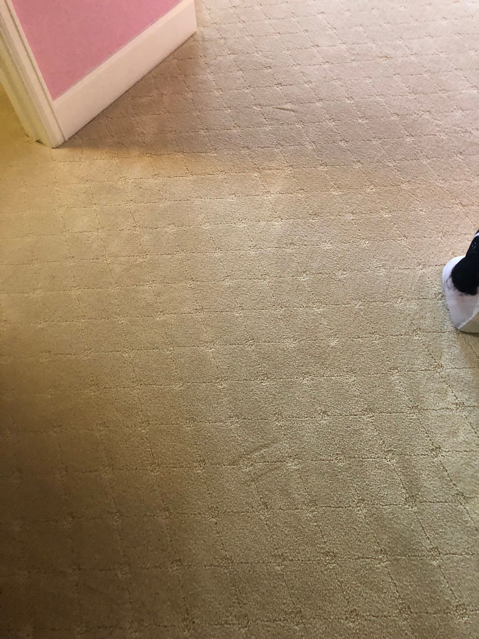 A person is standing on a carpeted floor in a room.