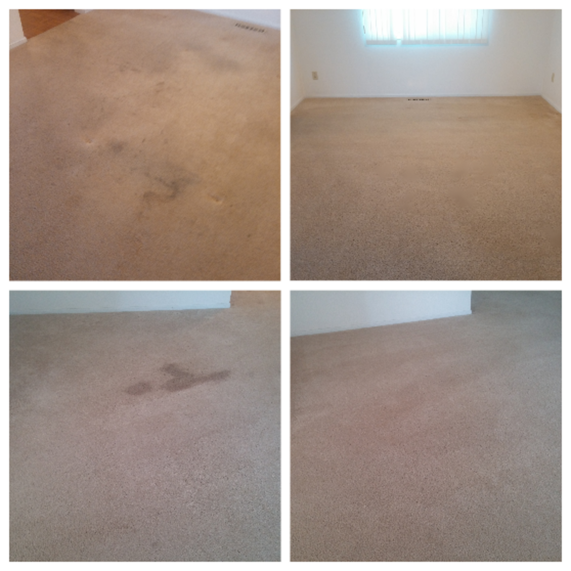 A collage of four pictures of a carpet before and after being cleaned.