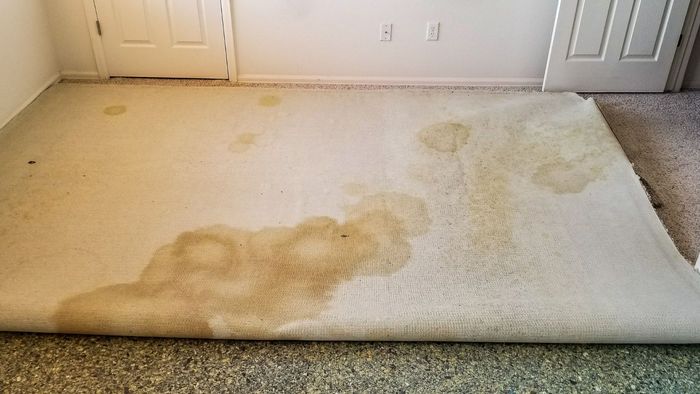 A dirty rug is laying on the floor in a room.