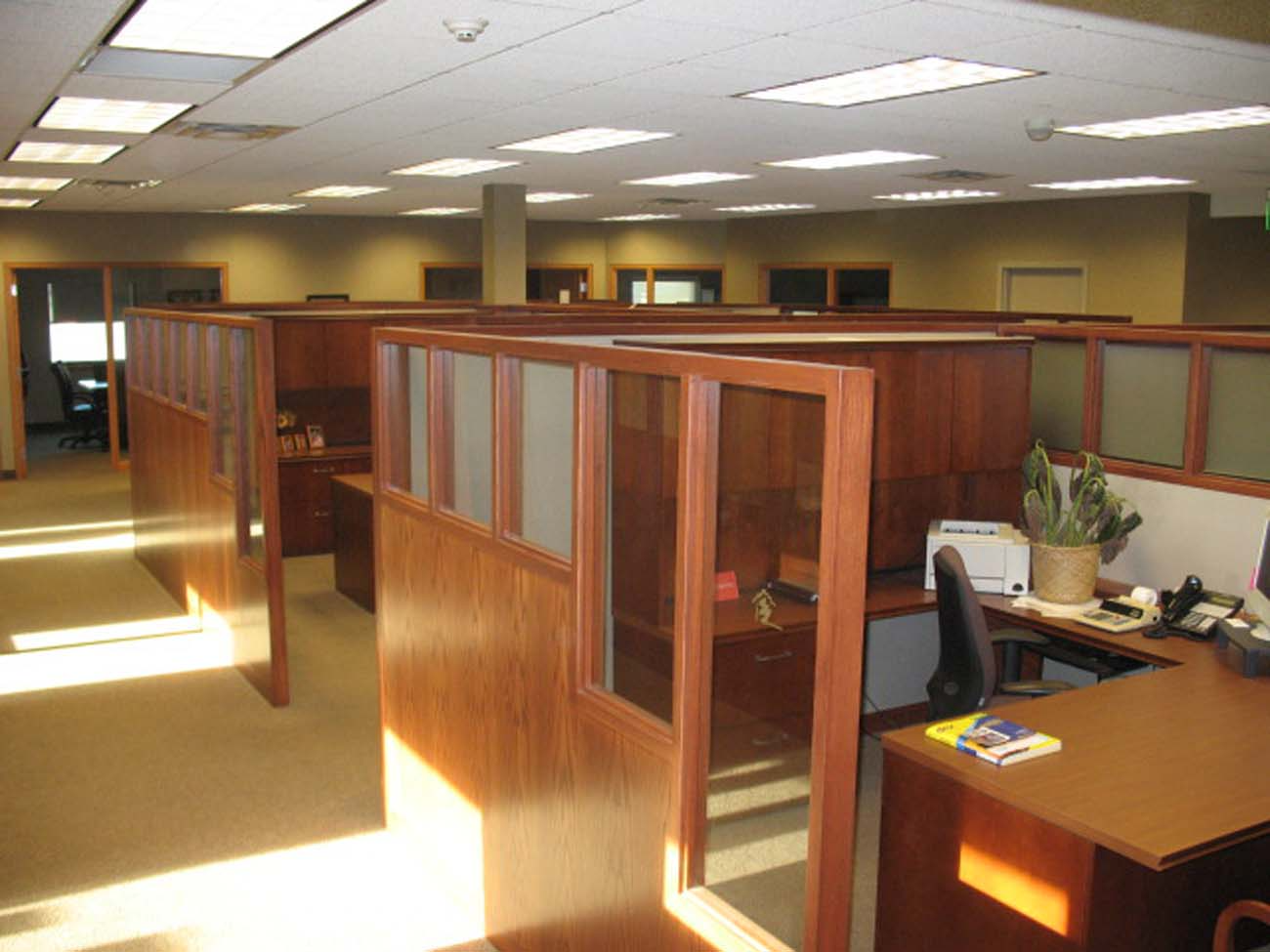 A cubicle in an office with a plant on the desk