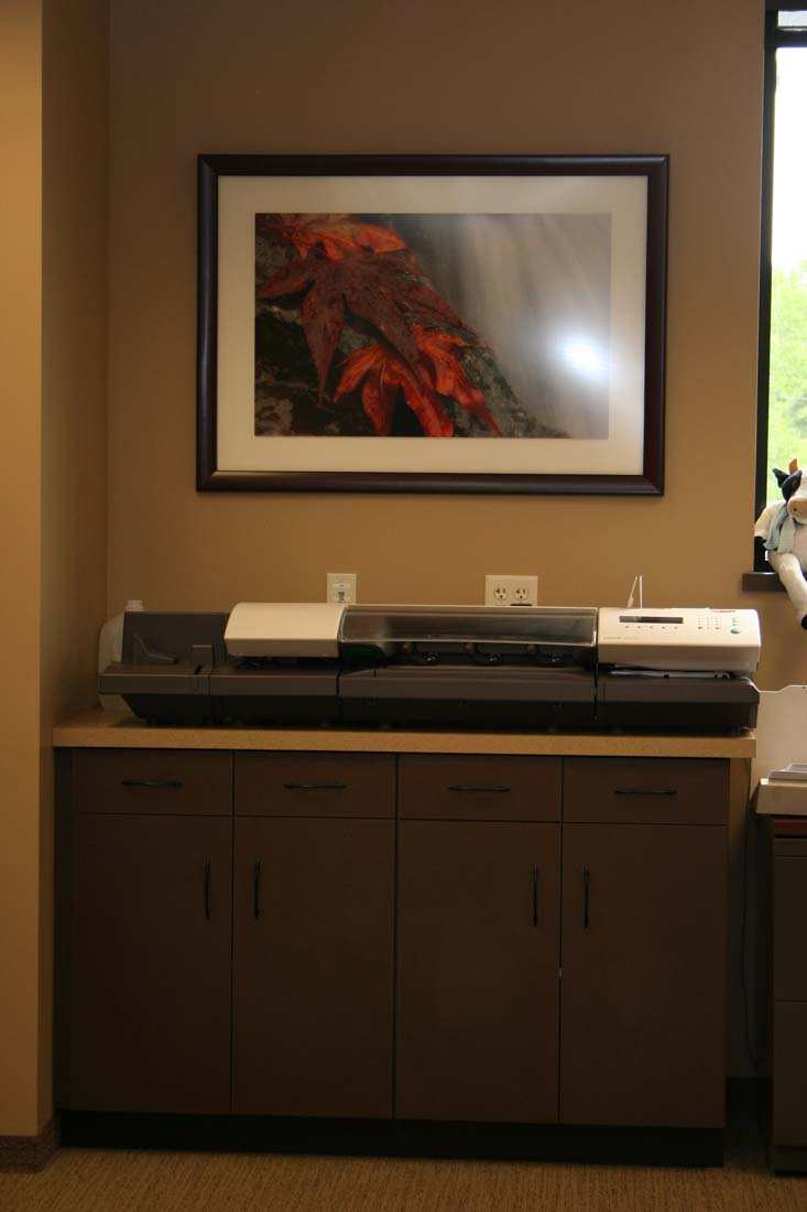 A cabinet with a picture on the wall above it