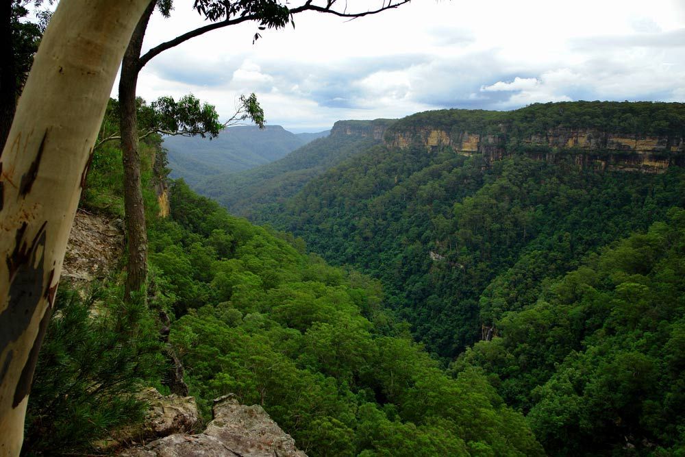 A View Of A Valley With Trees And Mountains In The Background — Gordy's Furniture Removals in Southern Highlands, NSW