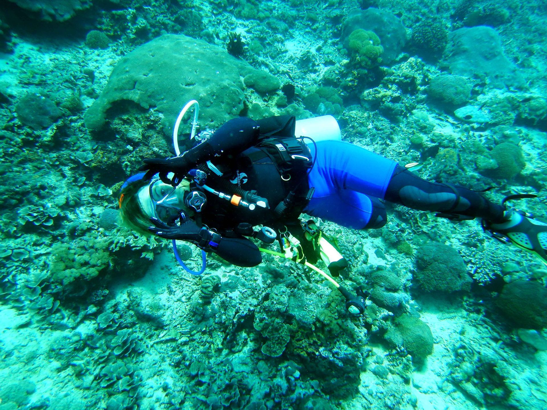 A scuba diver is swimming in the ocean near a coral reef