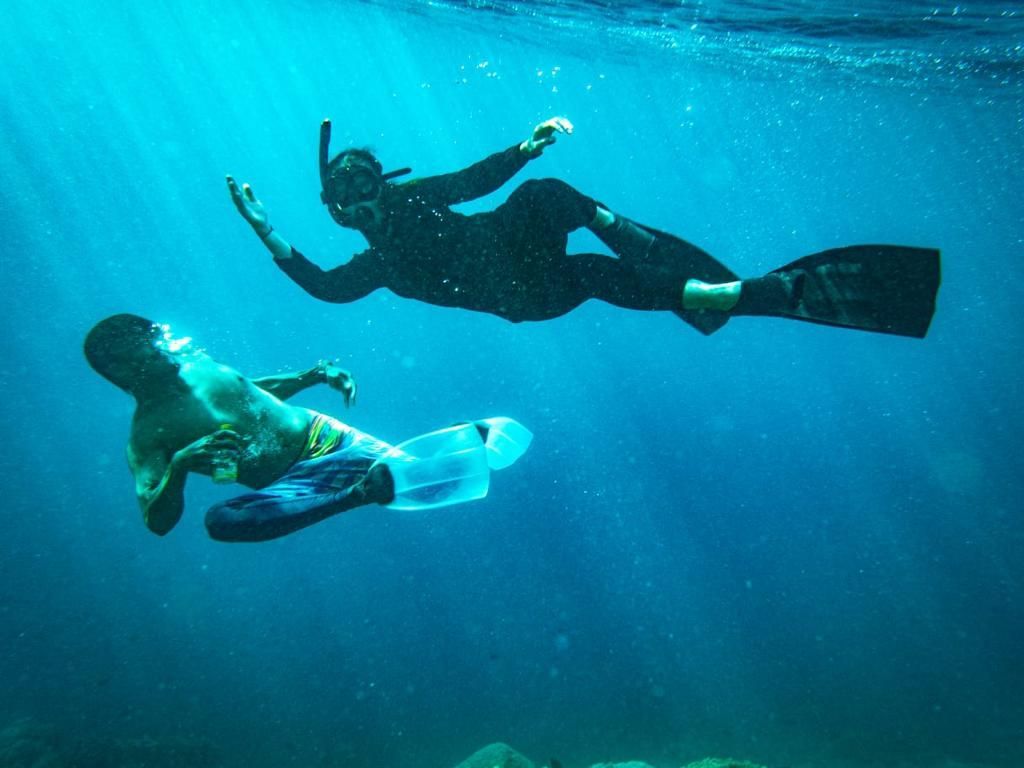 Two scuba divers are swimming in the ocean