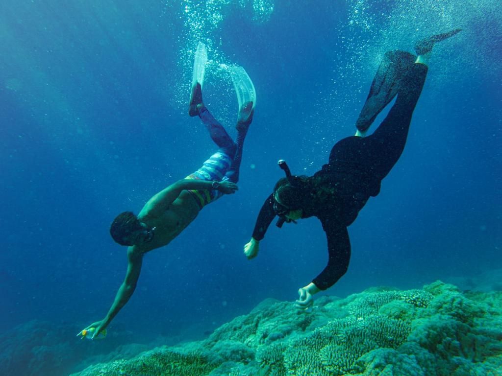Two people are swimming in the ocean and one is wearing a mask