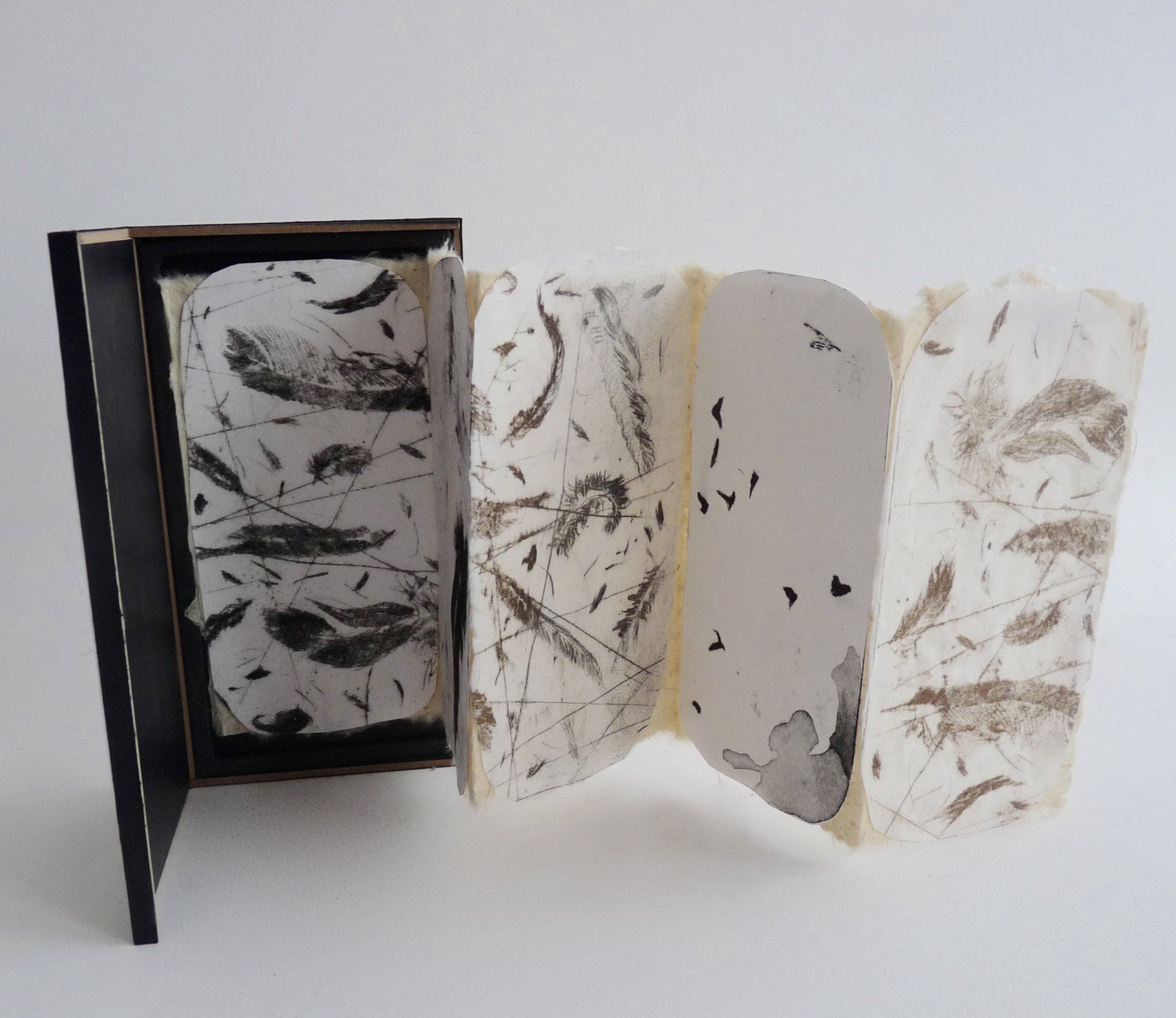 Birds, Feathers, Prints