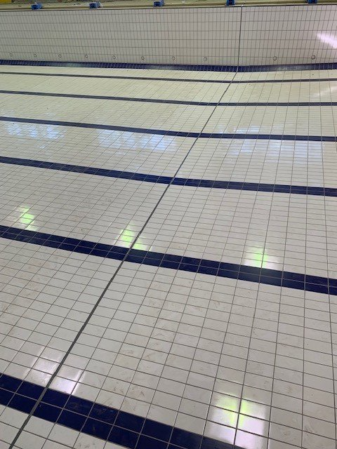 White Floor Of A Pool With Blue Stripes — South East, QLD — Seamless Silicone