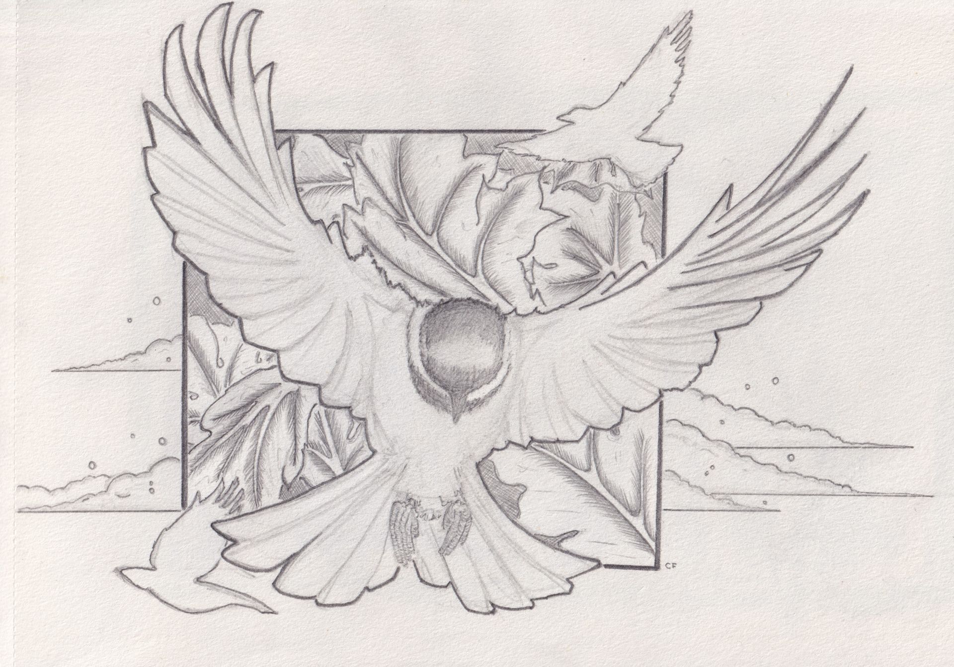 Pencil drawing of a bird with outstretched wings, flying near a stylized square with foliage. Another bird flies above.