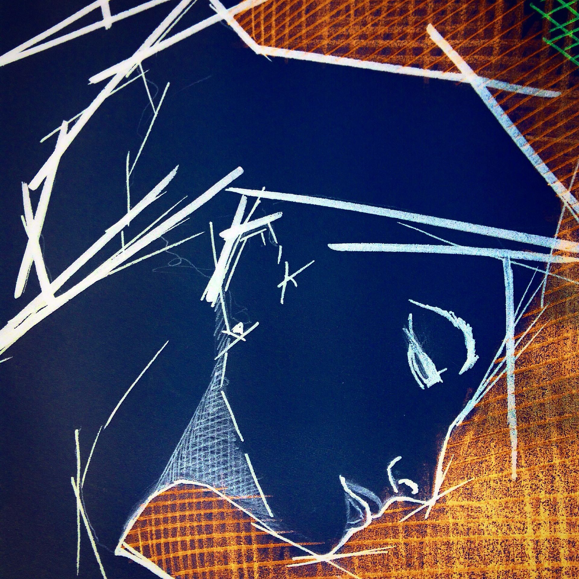 Profile of a person in white line art on a dark background, with textured orange and green lines.