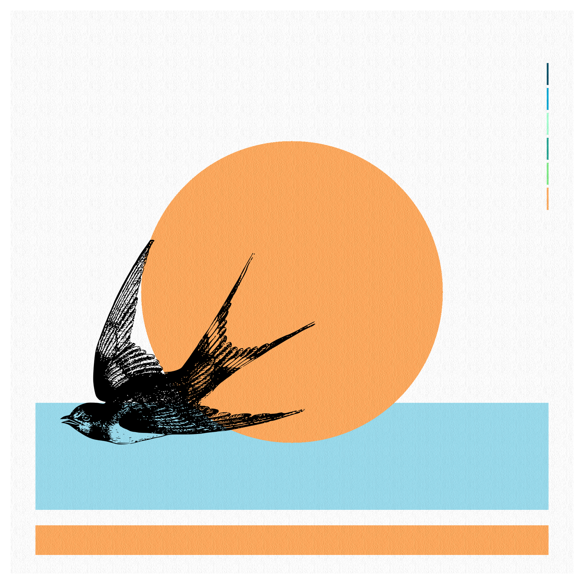 Black swallow in flight, orange sun, blue horizon.
